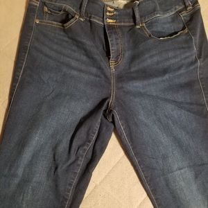 Torrid Jeans